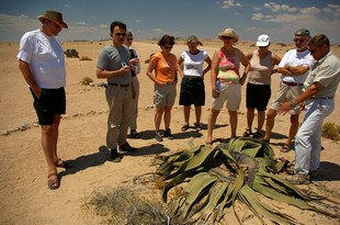 467 Namibia Okt 2006 .JPG